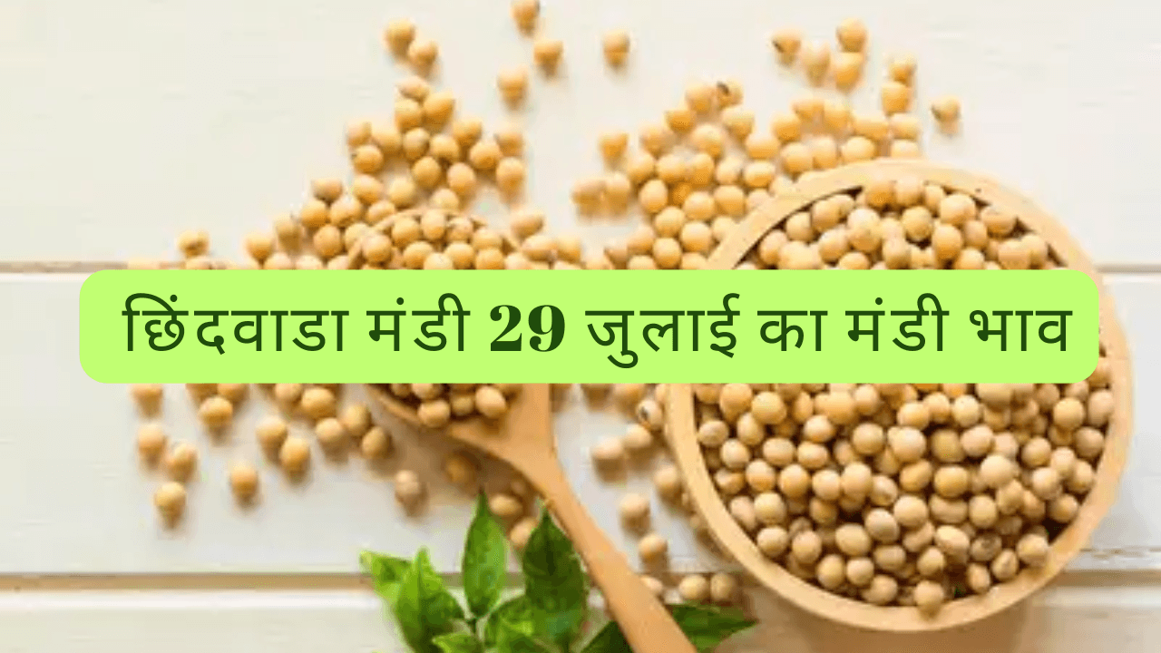 छिंदवाडा मंडी