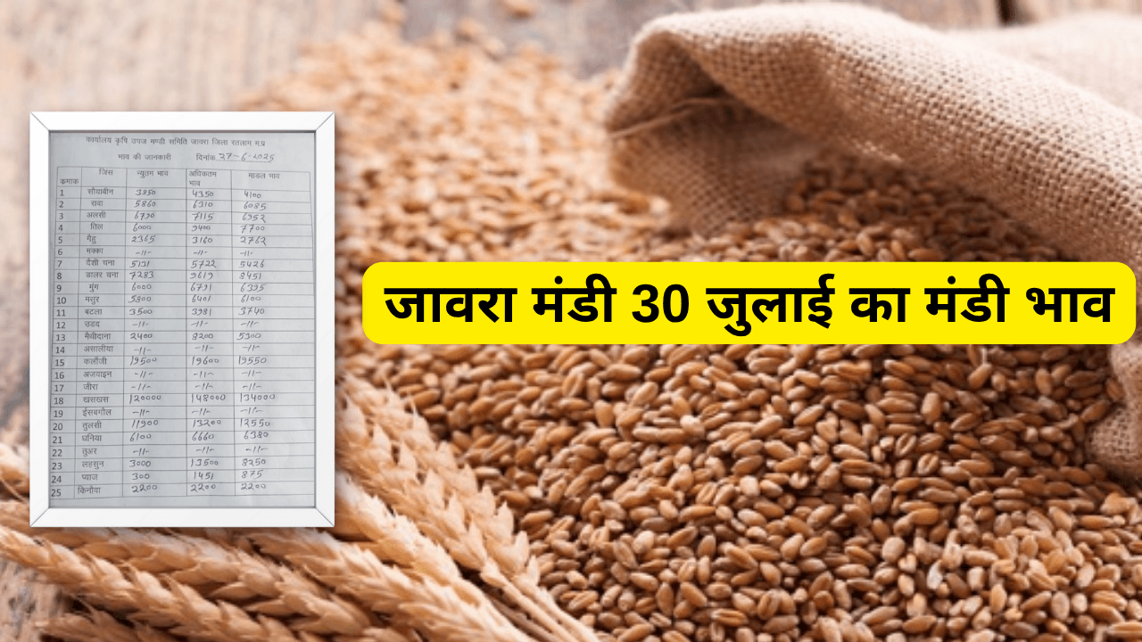 जावरा मंडी