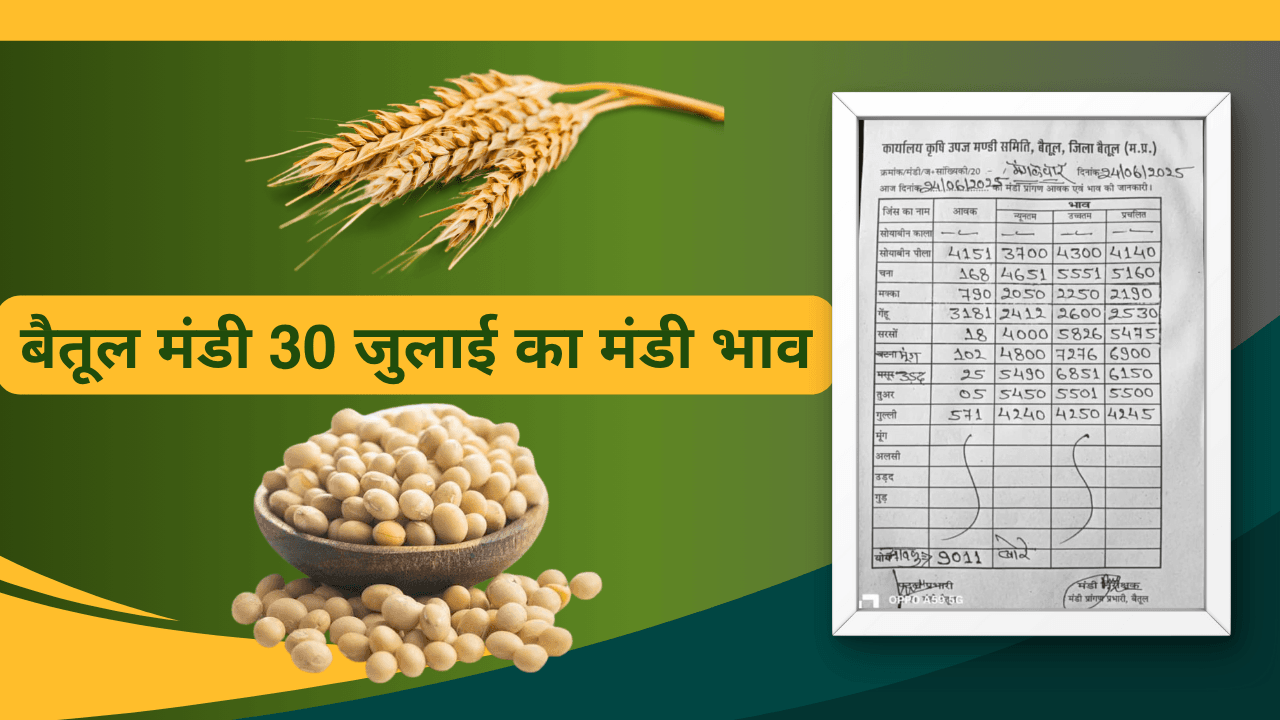 बैतूल मंडी