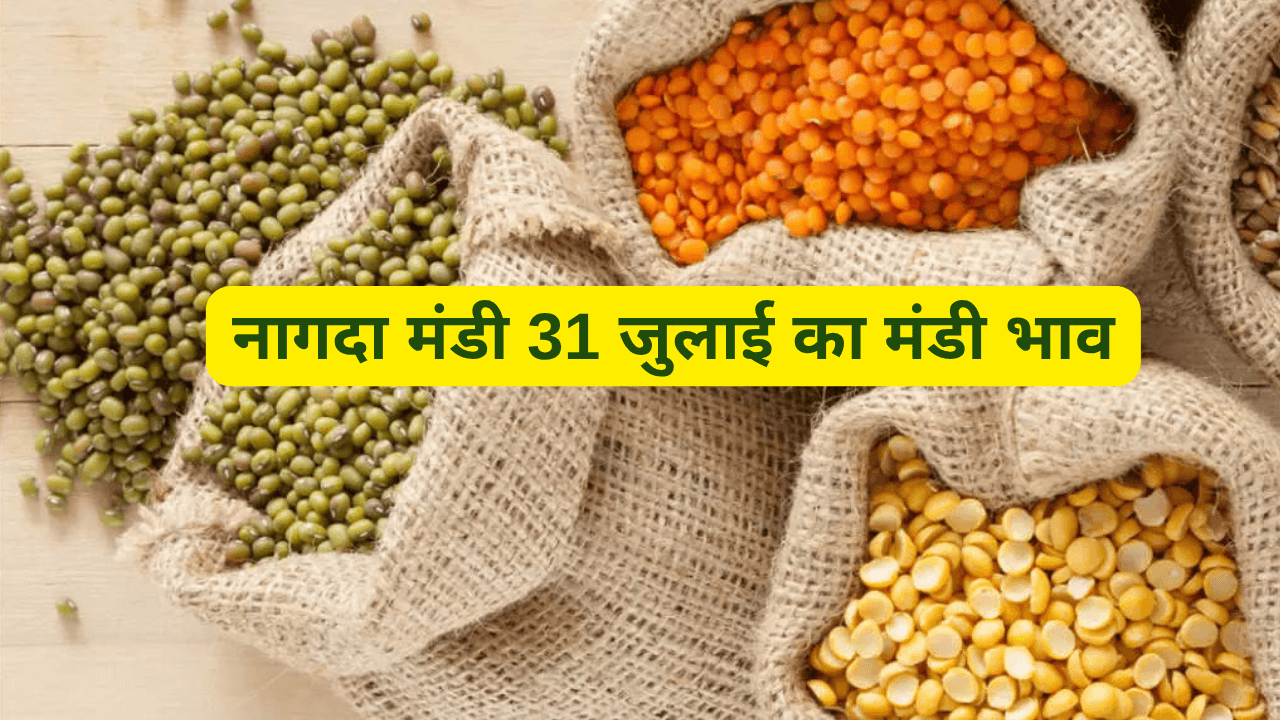 नागदा मंडी