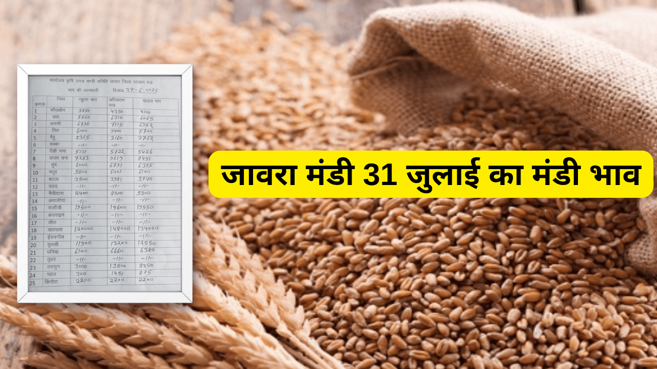 जावरा मंडी