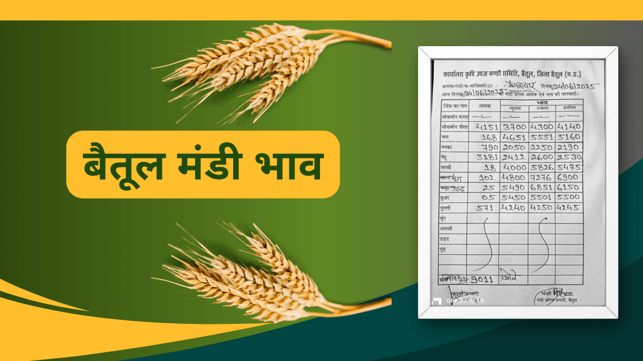 बैतूल मंडी