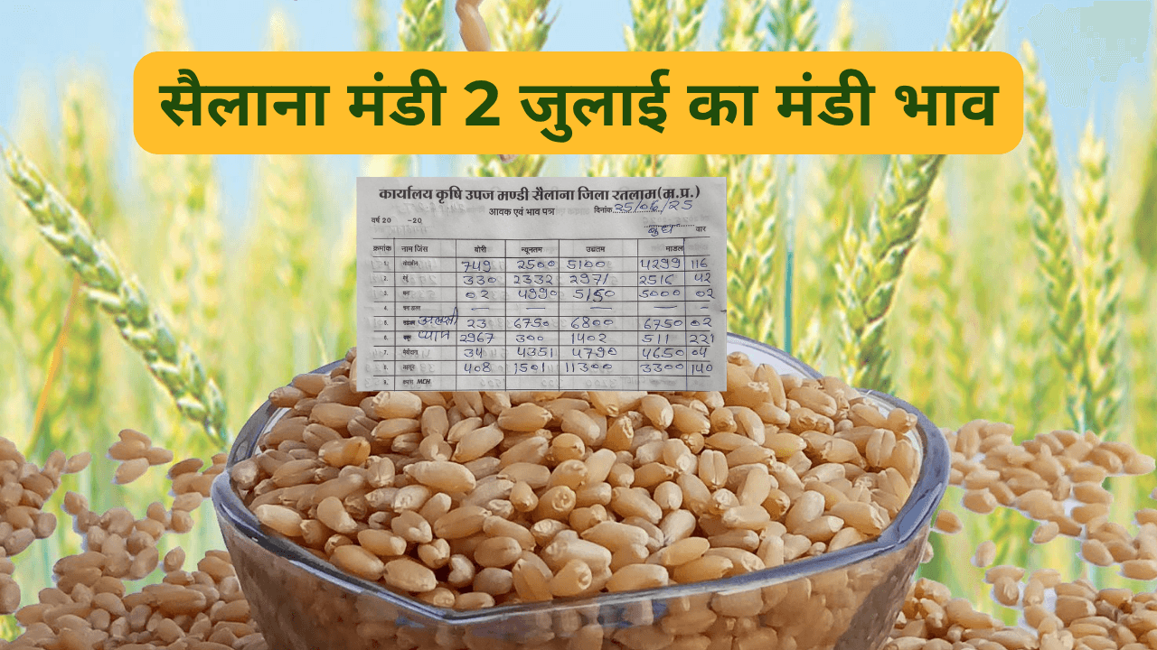 सैलाना मंडी