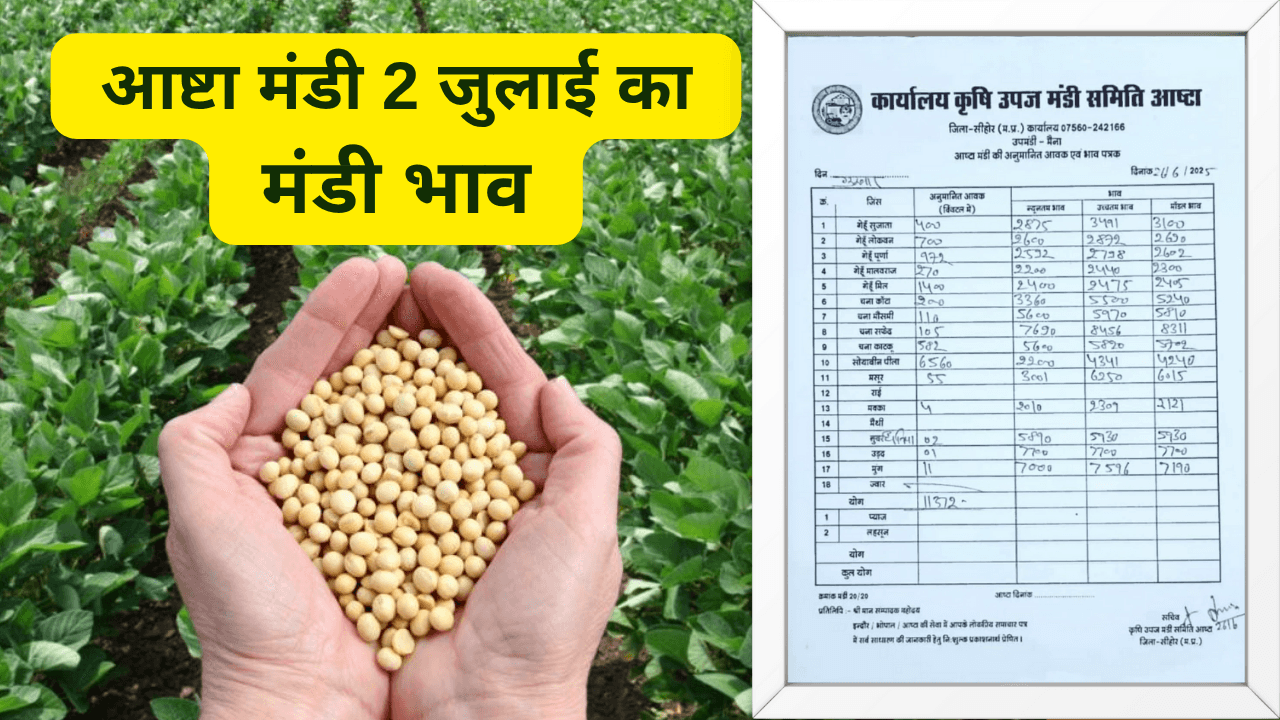 आष्टा मंडी