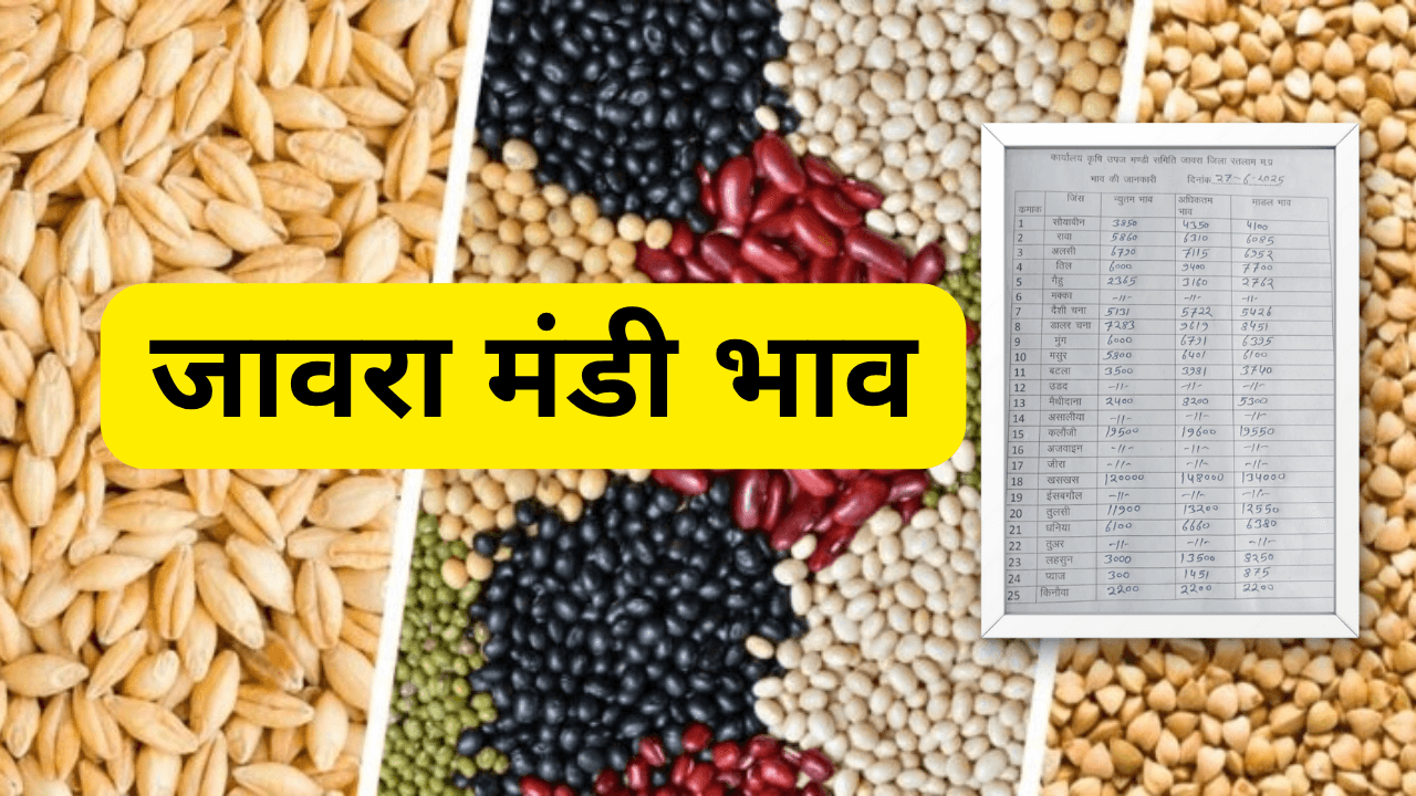 जावरा मंडी