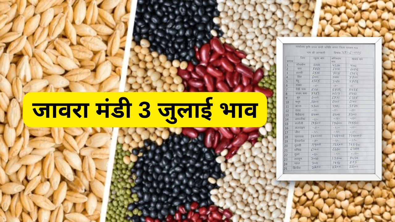 जावरा मंडी