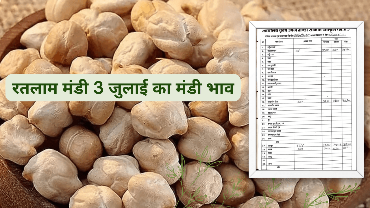 रतलाम मंडी