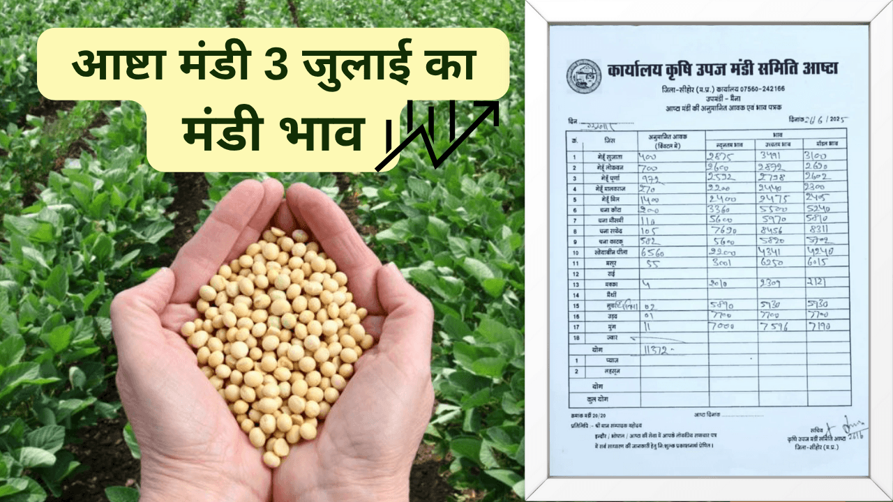 आष्टा मंडी