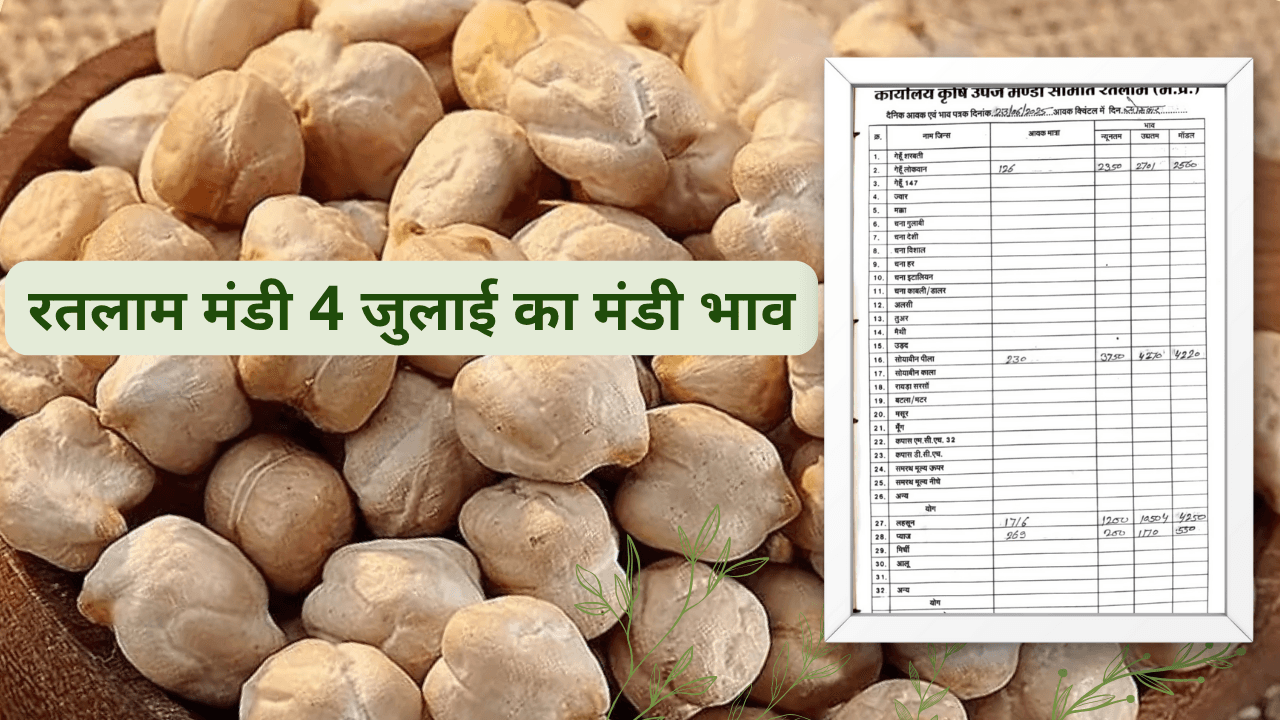 रतलाम मंडी