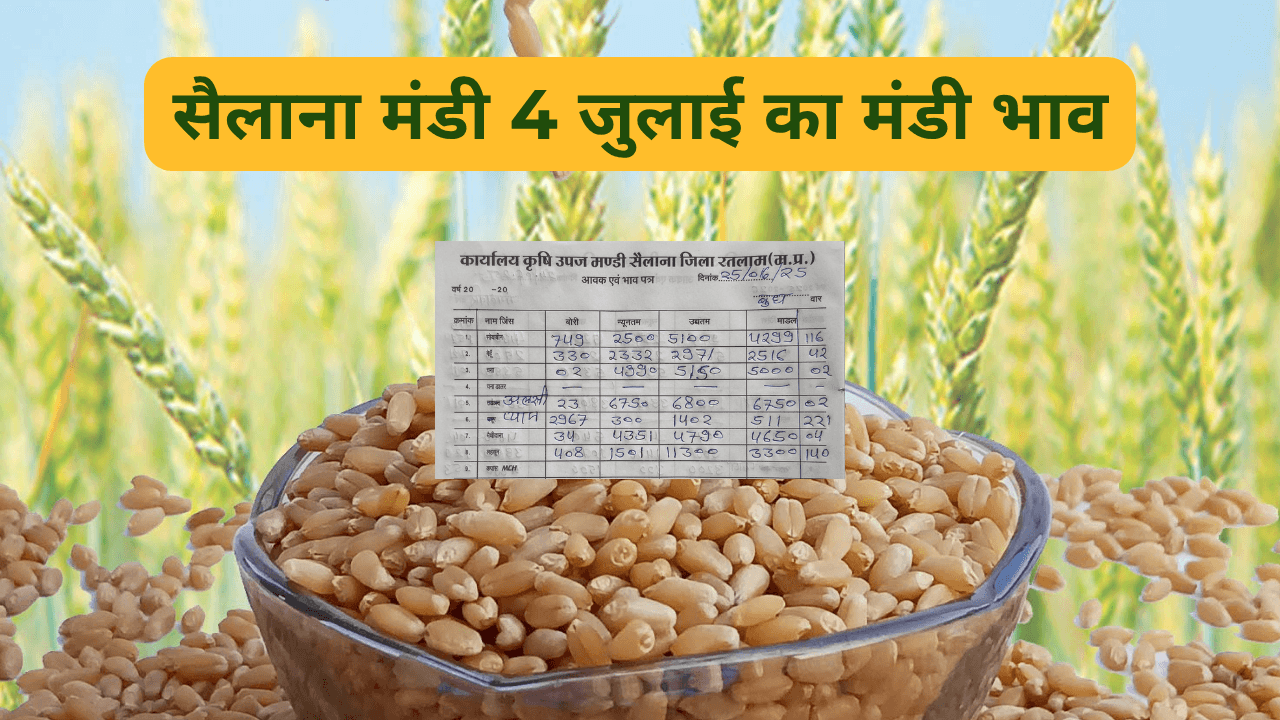 सैलाना मंडी