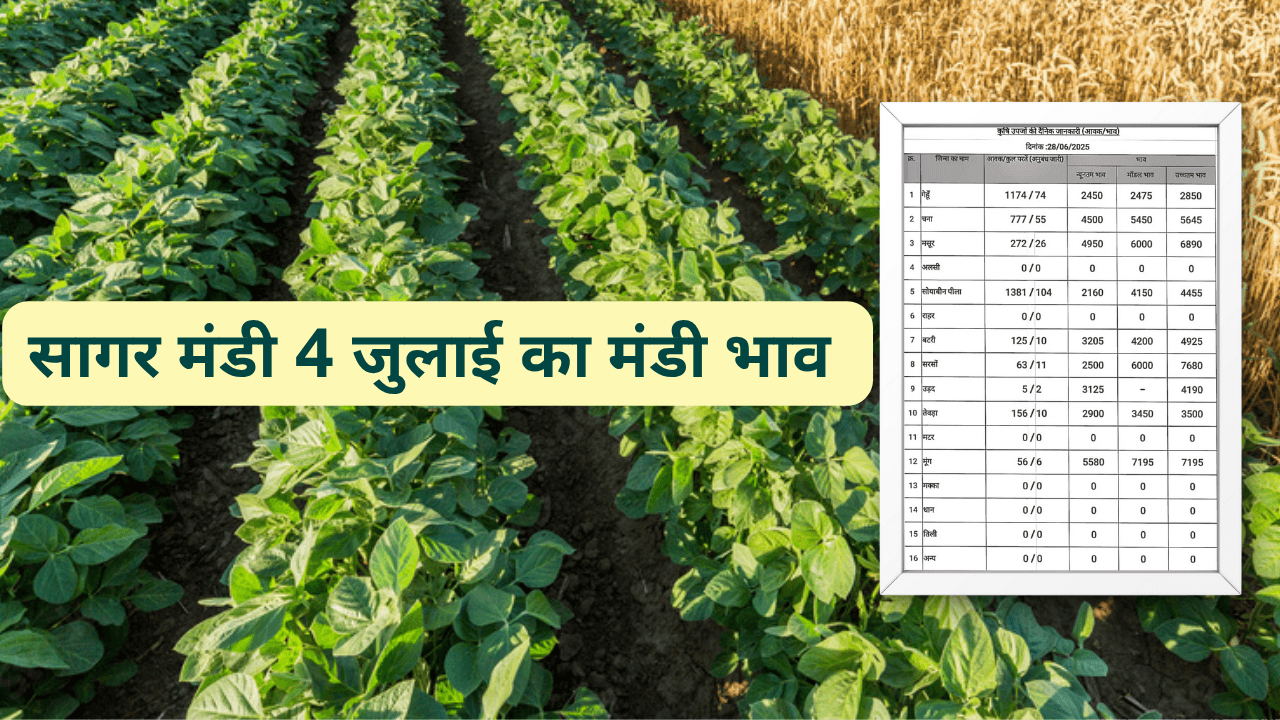 सागर मंडी