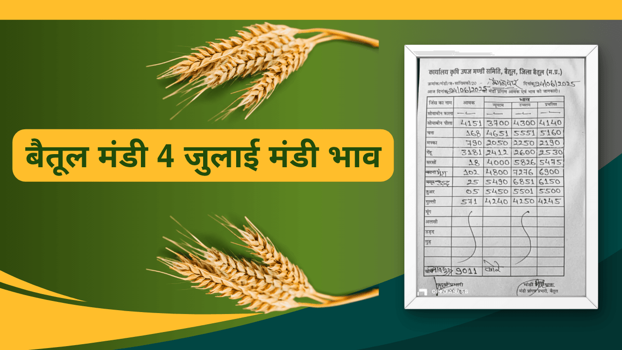 बैतूल मंडी