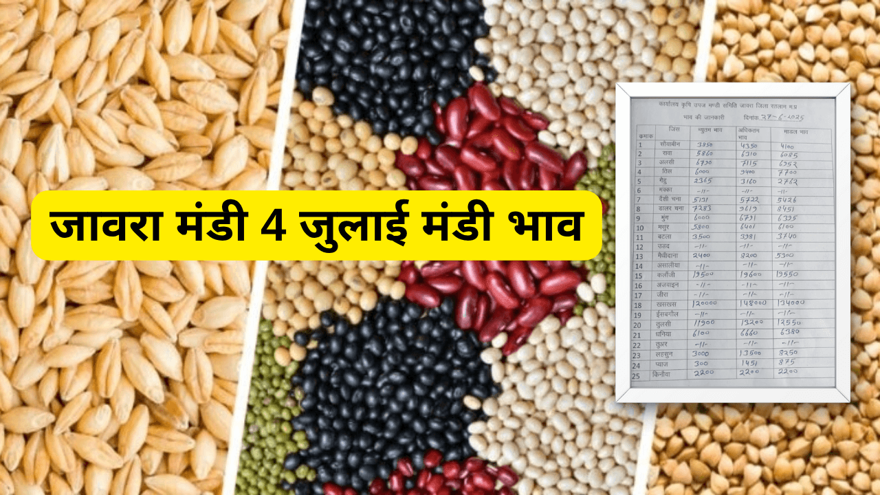 जावरा मंडी