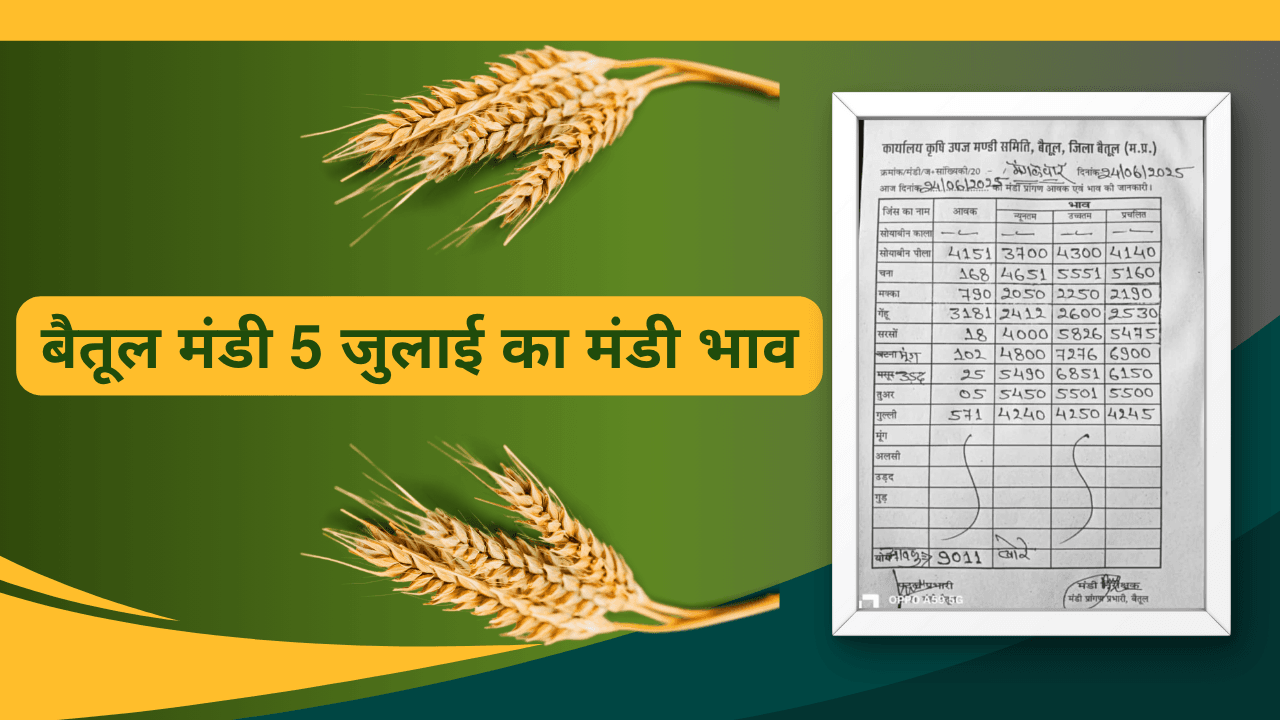 बैतूल मंडी