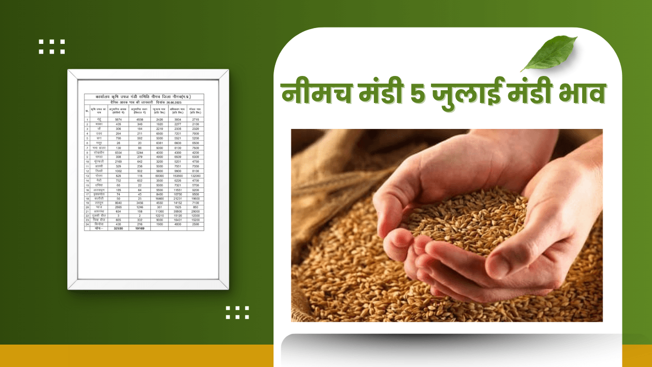 नीमच मंडी