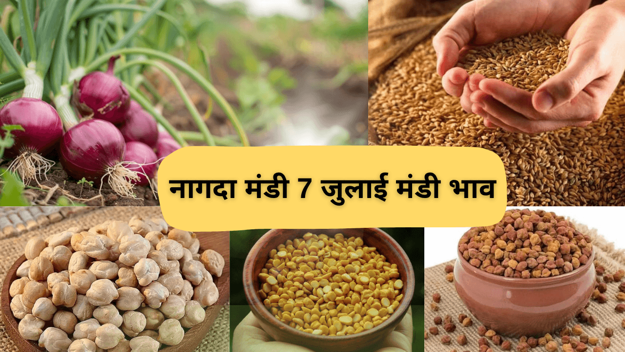 नागदा मंडी