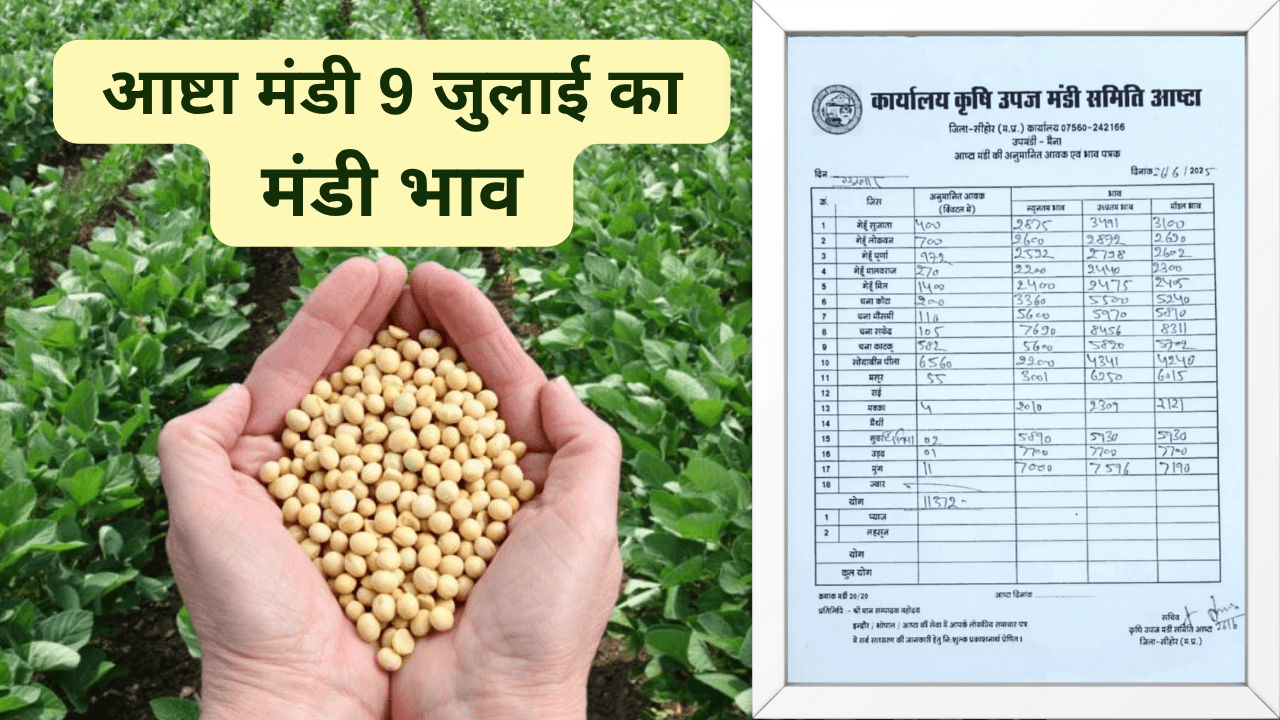 आष्टा मंडी