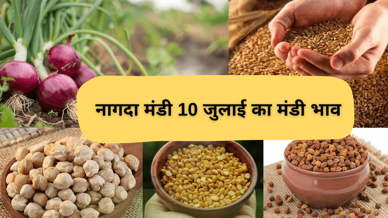 नागदा मंडी