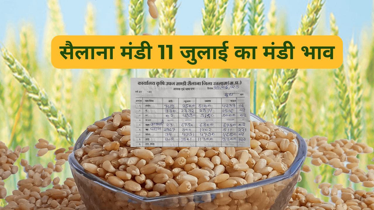 सैलाना मंडी