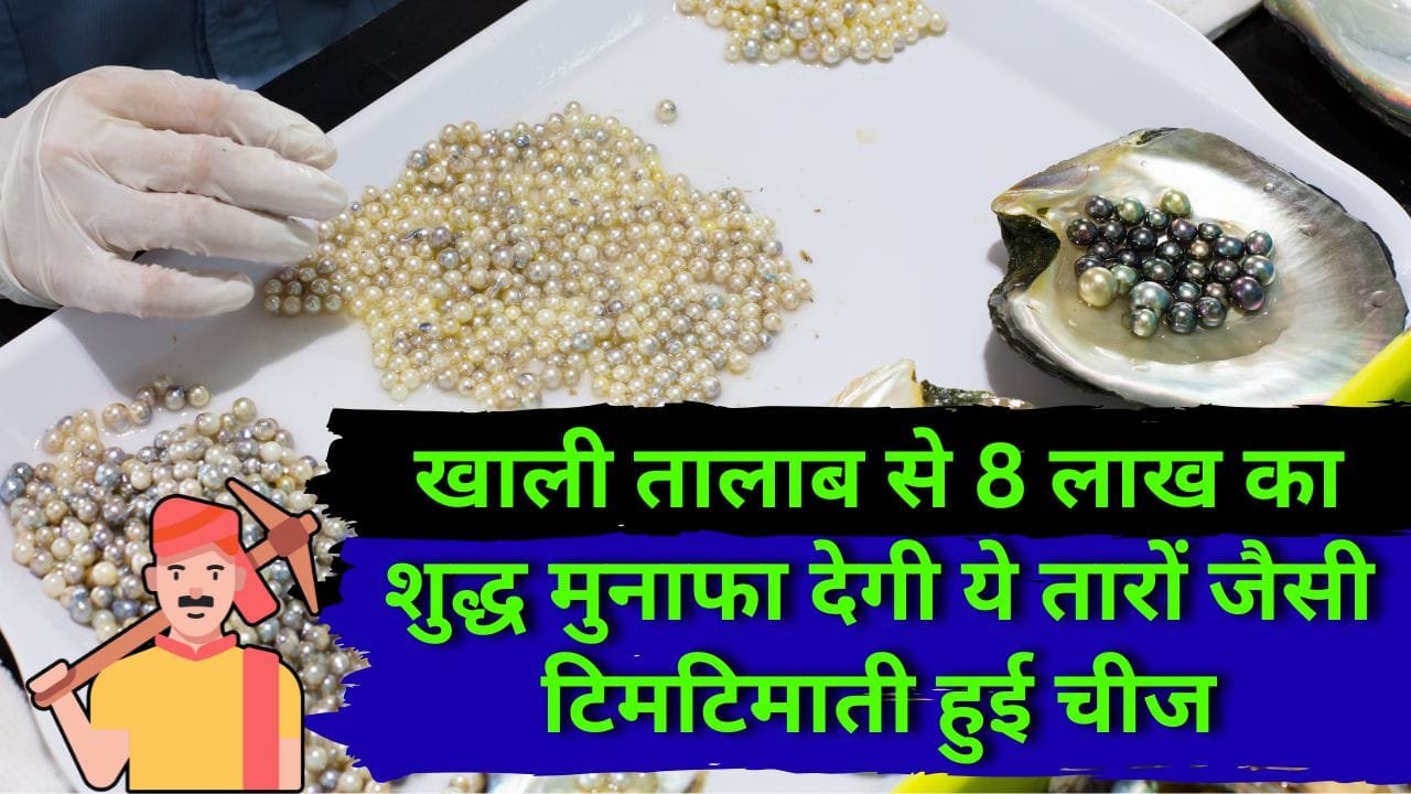 मोती की खेती में खर्चा