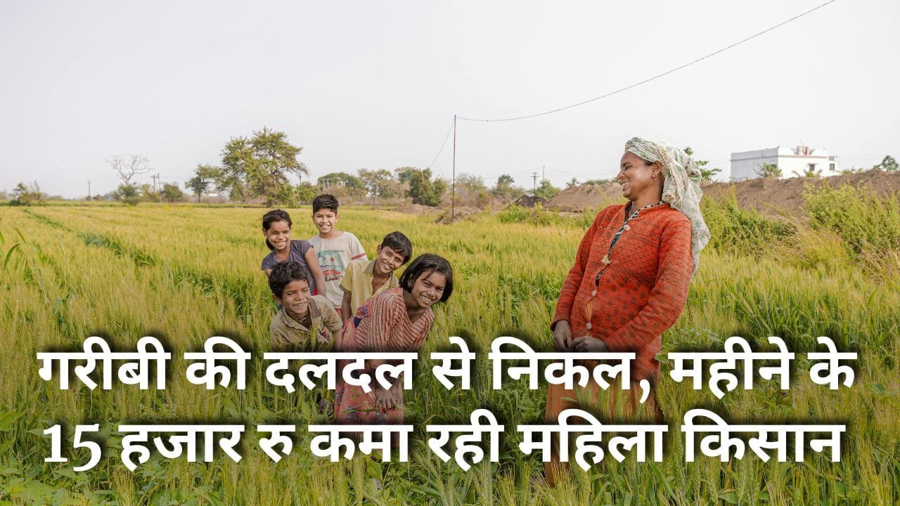 अरबी की खेती