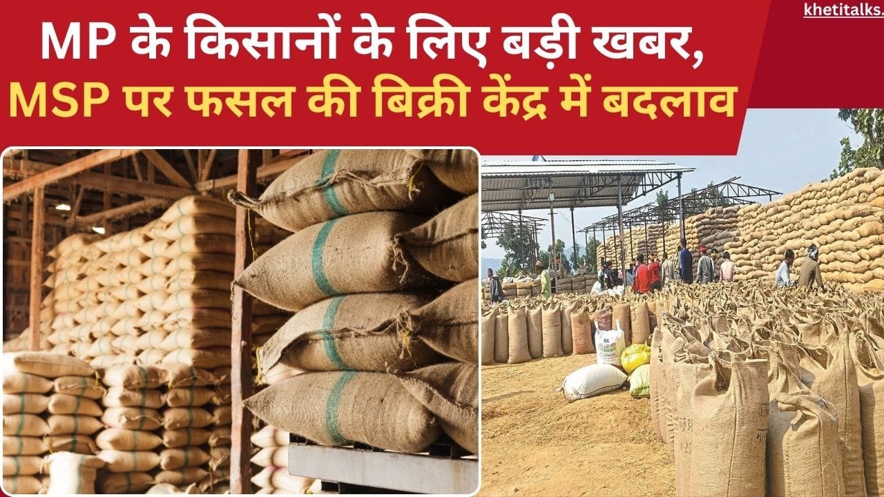 गोदाम में खरीद केंद्र बनेंगे