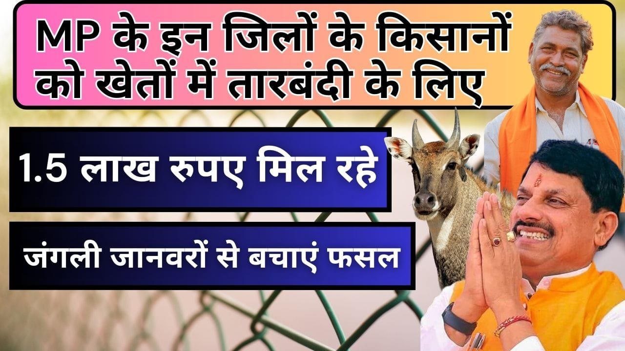 तारबंदी योजना के लिए आवेदन कैसे करें?