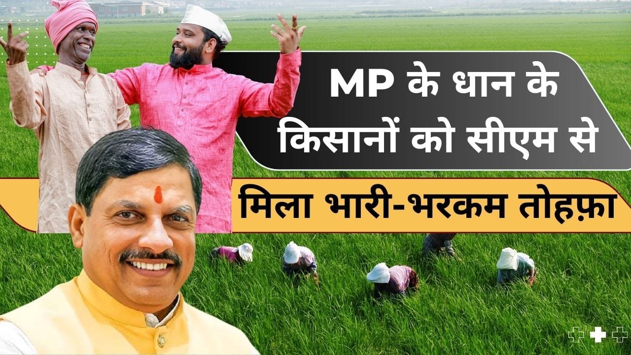 धान के किसानों को मिलेगा बोनस