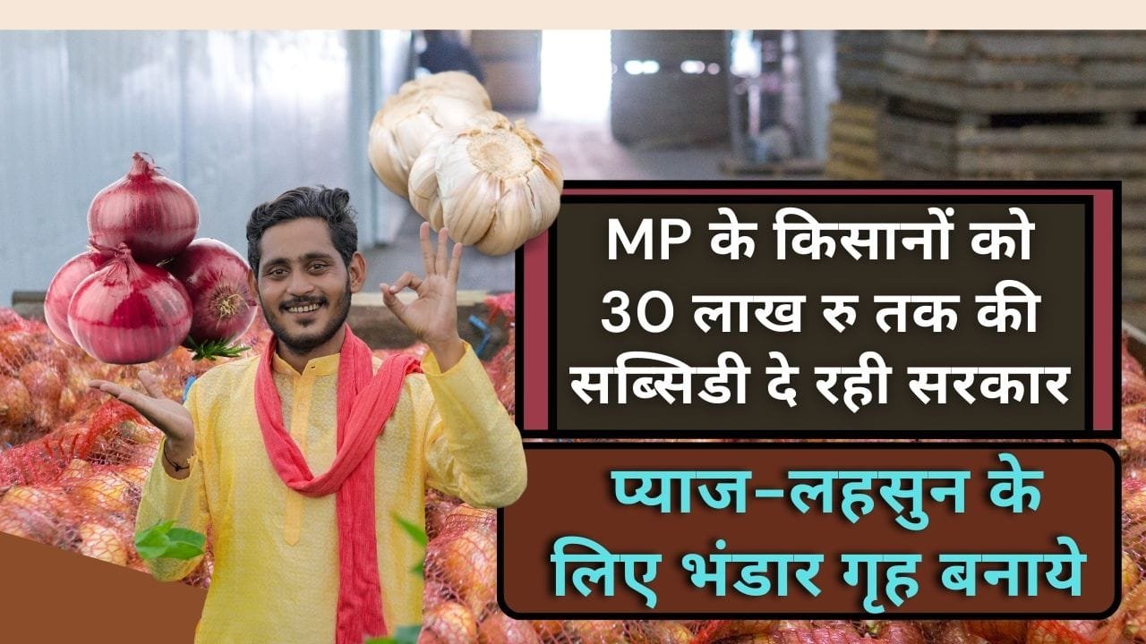 प्याज-लहसुन भंडारण के लिए लो कास्ट स्टोरेज बनाने के लिए किसानों को 50% अनुदान मिल रहा है