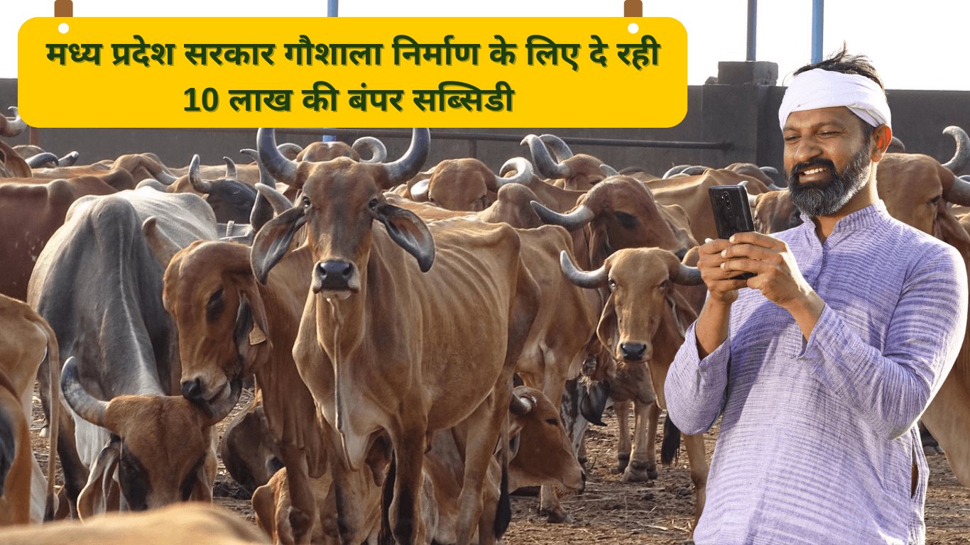 सब्सिडी