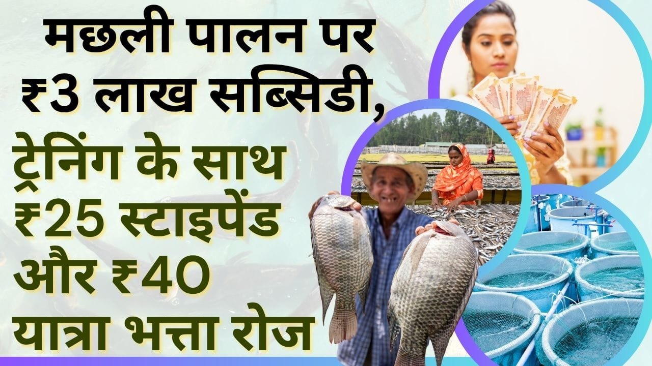 मच्छली पालन के लिए प्रशिक्षण