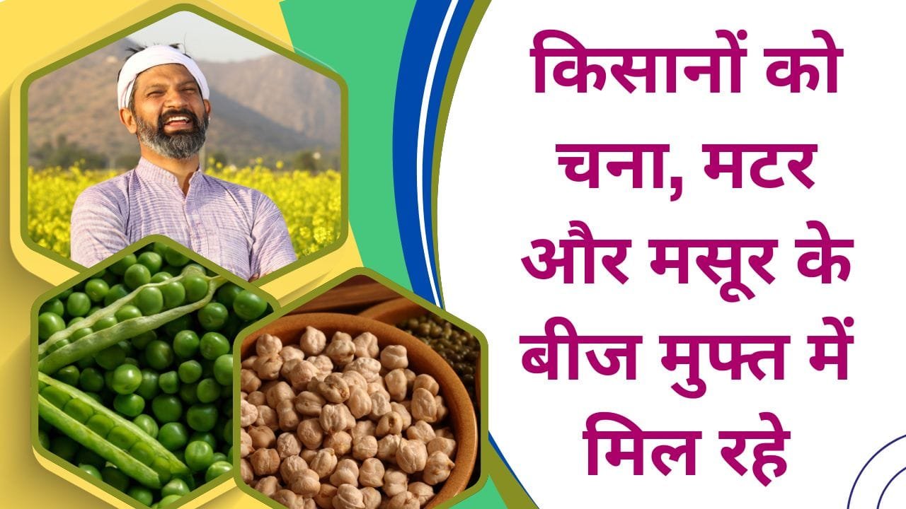 UP के किसानों को मुफ्त मिल रहा बीज