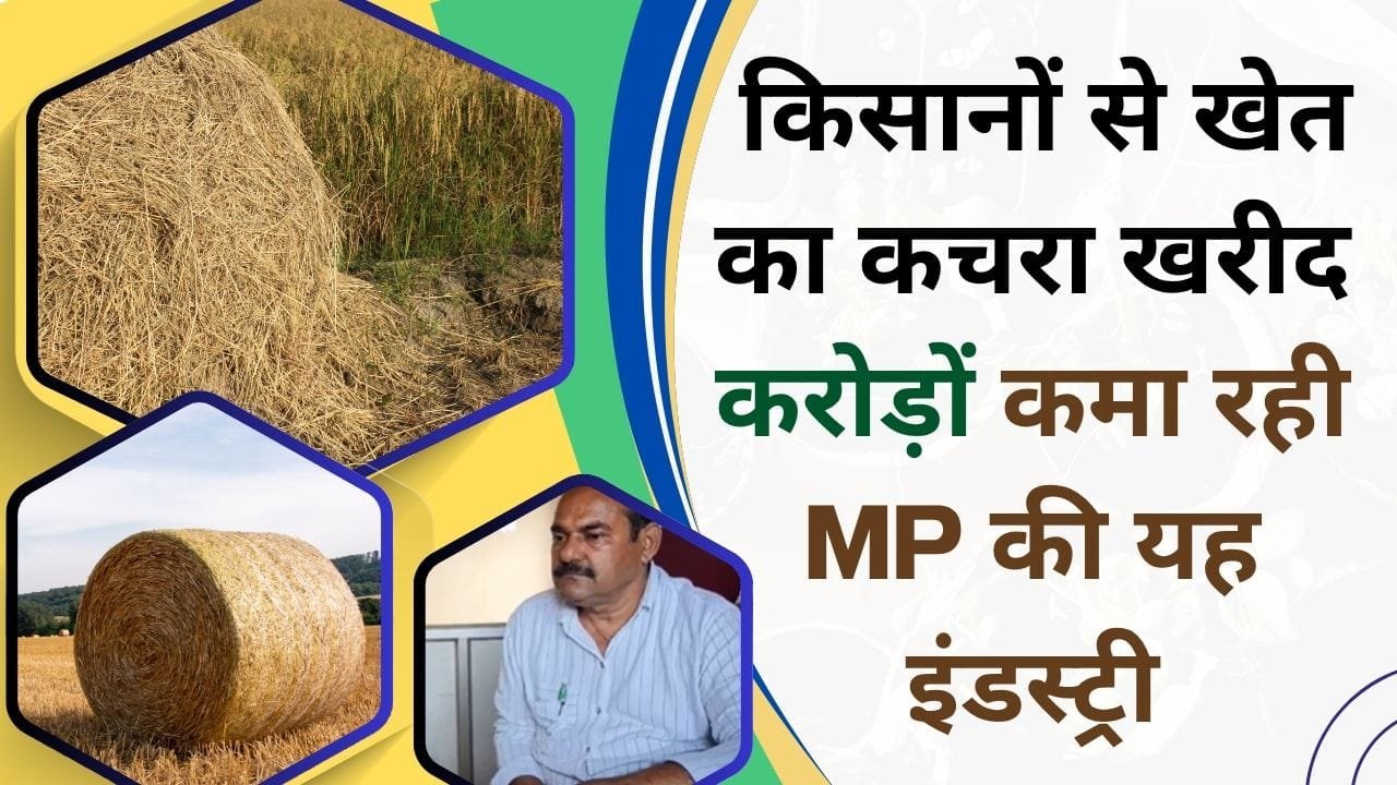 पराली और भूसा से बायोमास ब्रिकेट्स