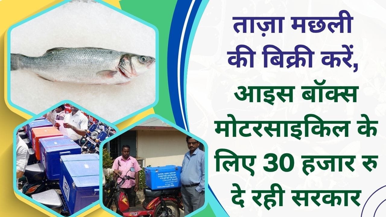 आइस बॉक्स मोटरसाइकिल पर 50% तक की सब्सिडी