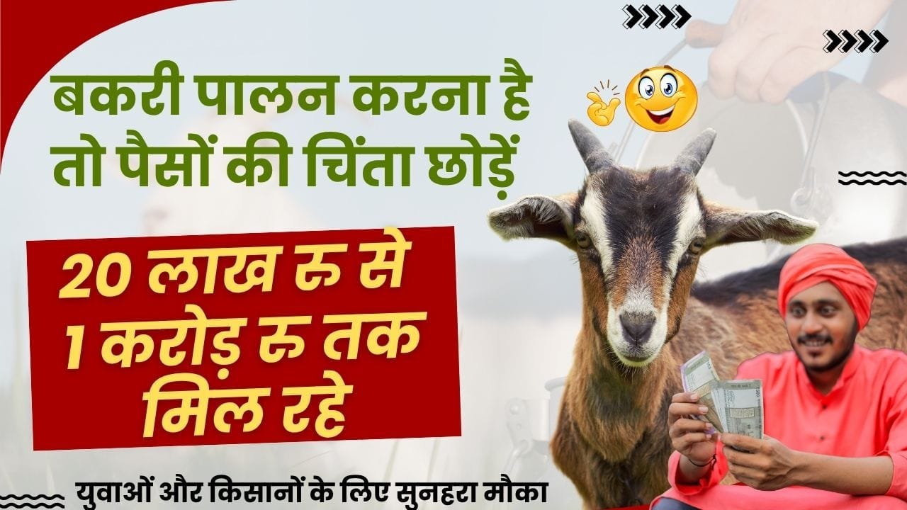 बकरी पालन के लिए सब्सिडी