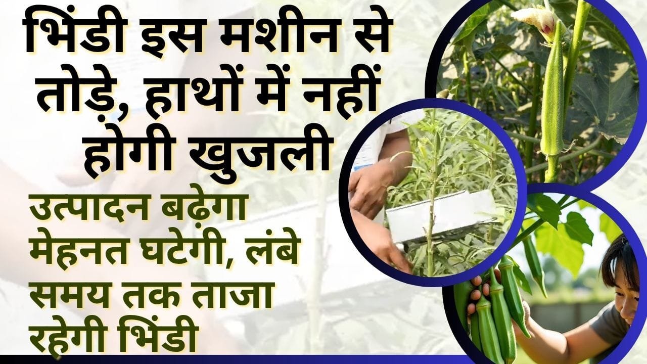 ओकरा हार्वेस्टर मशीन की कीमत