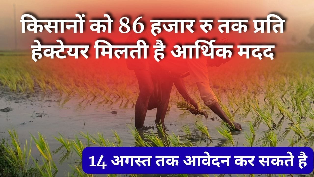 प्रधानमंत्री फसल बीमा योजना का लाभ लेने के लिए किसान 14 अगस्त 2025 तक आवेदन कर सकते हैं