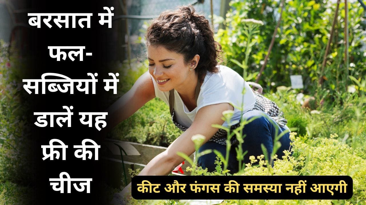 राख का बागवानी में उपयोग