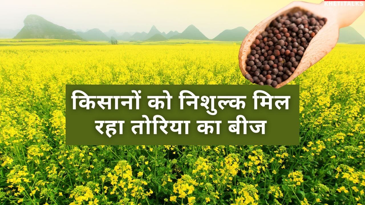 उत्तर प्रदेश के किसान