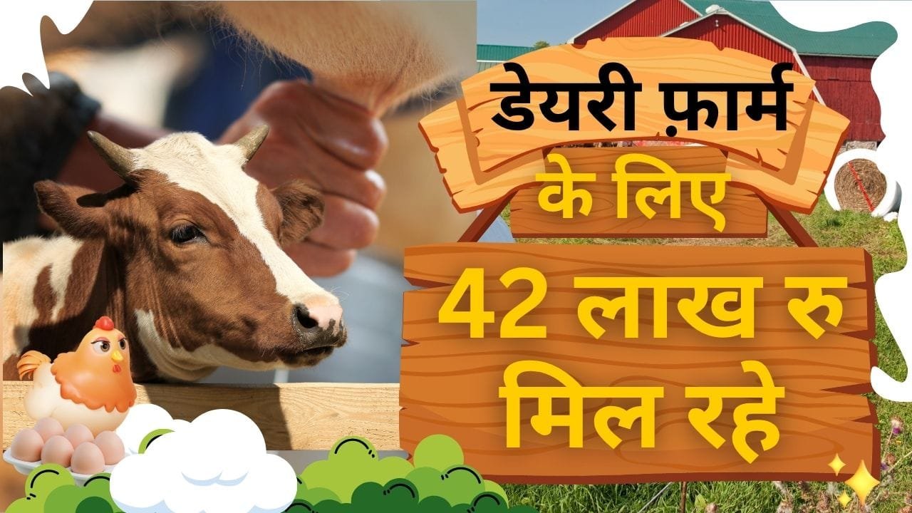 डॉ. भीमराव अंबेडकर कामधेनु योजना