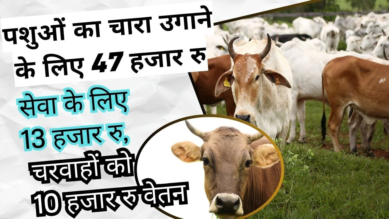 गौधाम योजना क्या है?