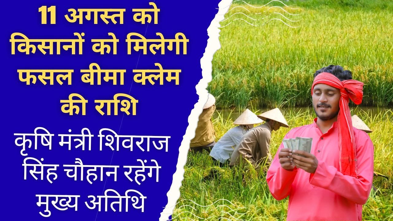 11 अगस्त को किसानों को मिलेगी फसल बीमा क्लेम की राशि