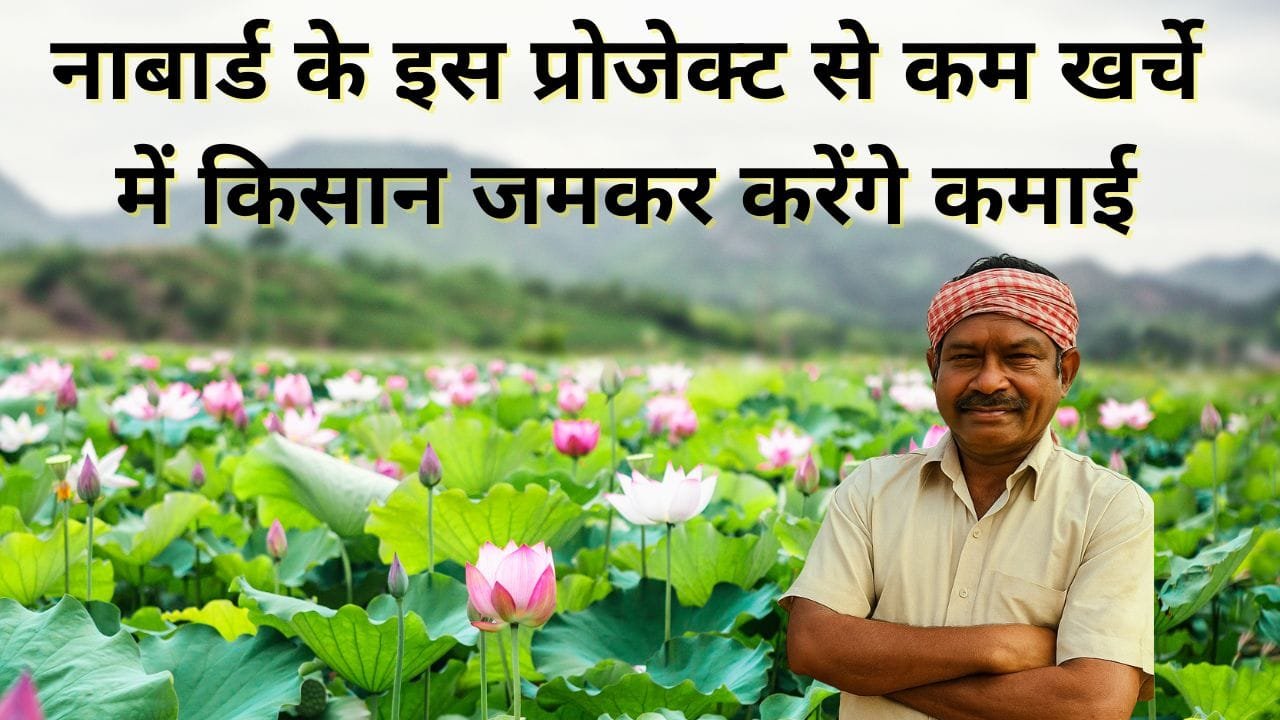 तालाब में कमल की खेती