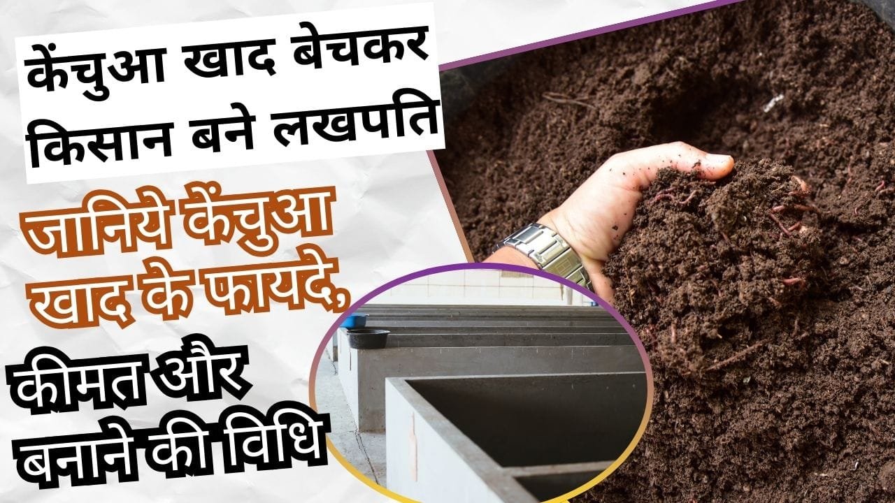 केंचुआ खाद बनाने की विधि