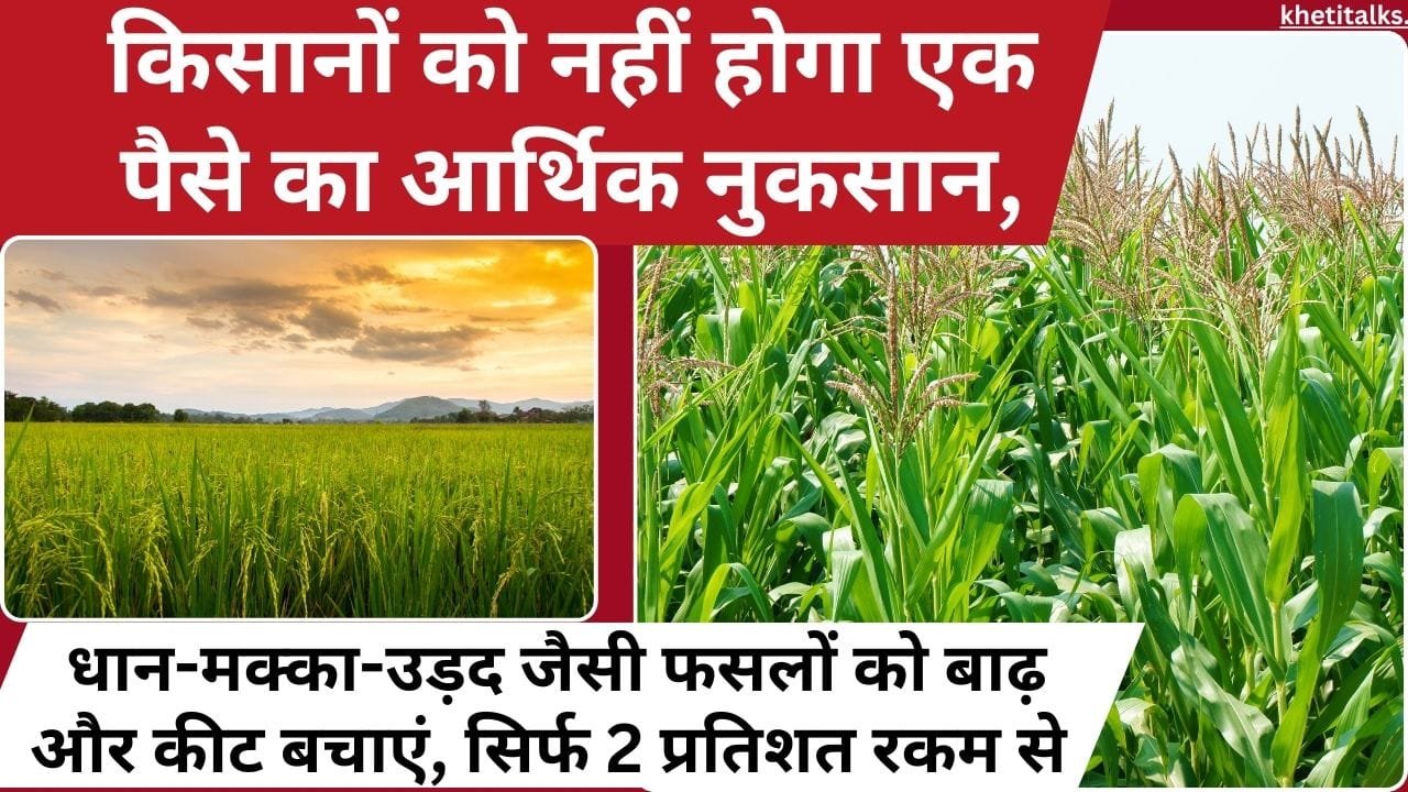 खरीफ फसलों का बीमा