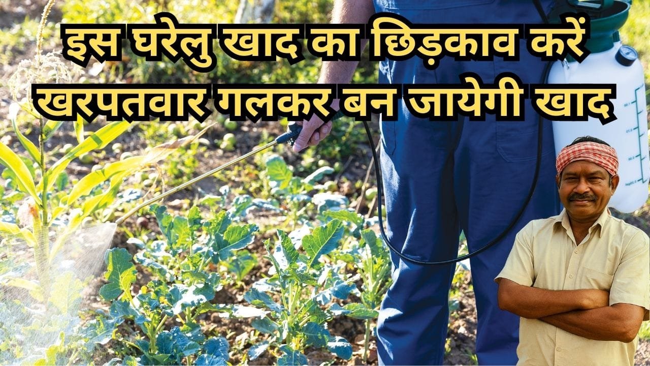 डीकंपोज का इस्तेमाल फसल अवशेष प्रबंधन के लिए भी किया जाता है