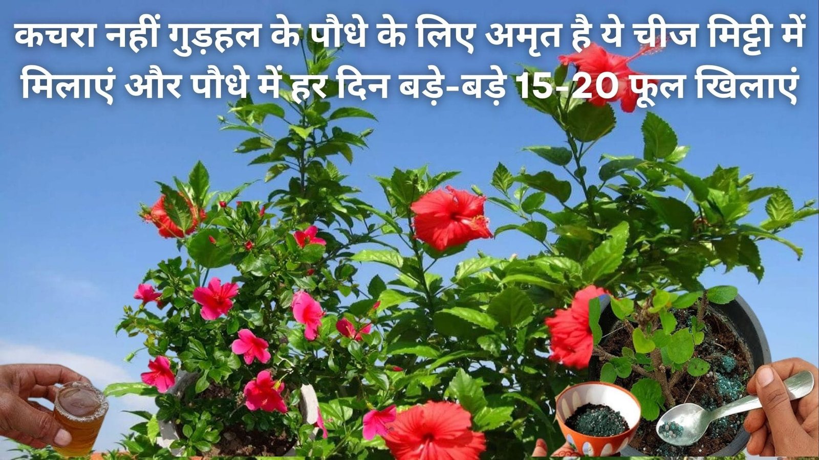 This FREE thing is not garbage but nectar for the