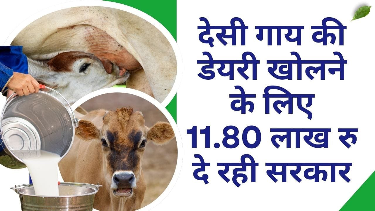 देसी गाय पालन के लिए सब्सिडी