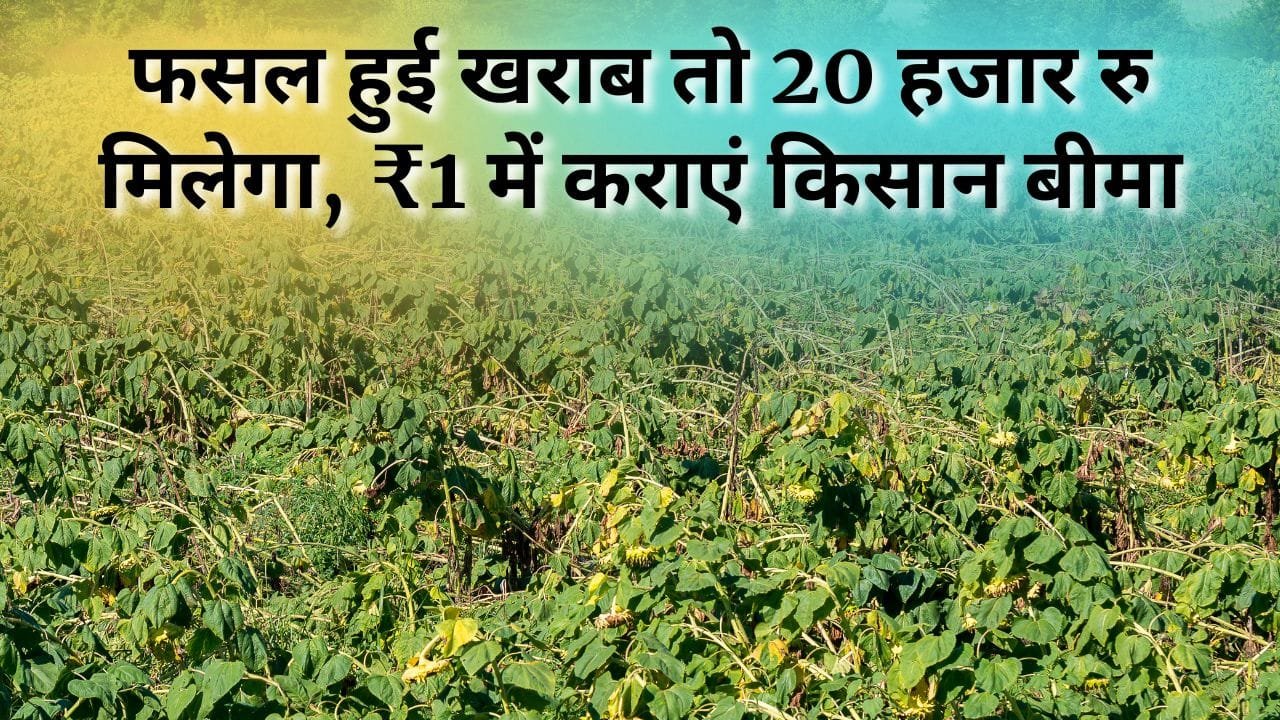 बिरसा प्रधानमंत्री फसल बीमा योजना