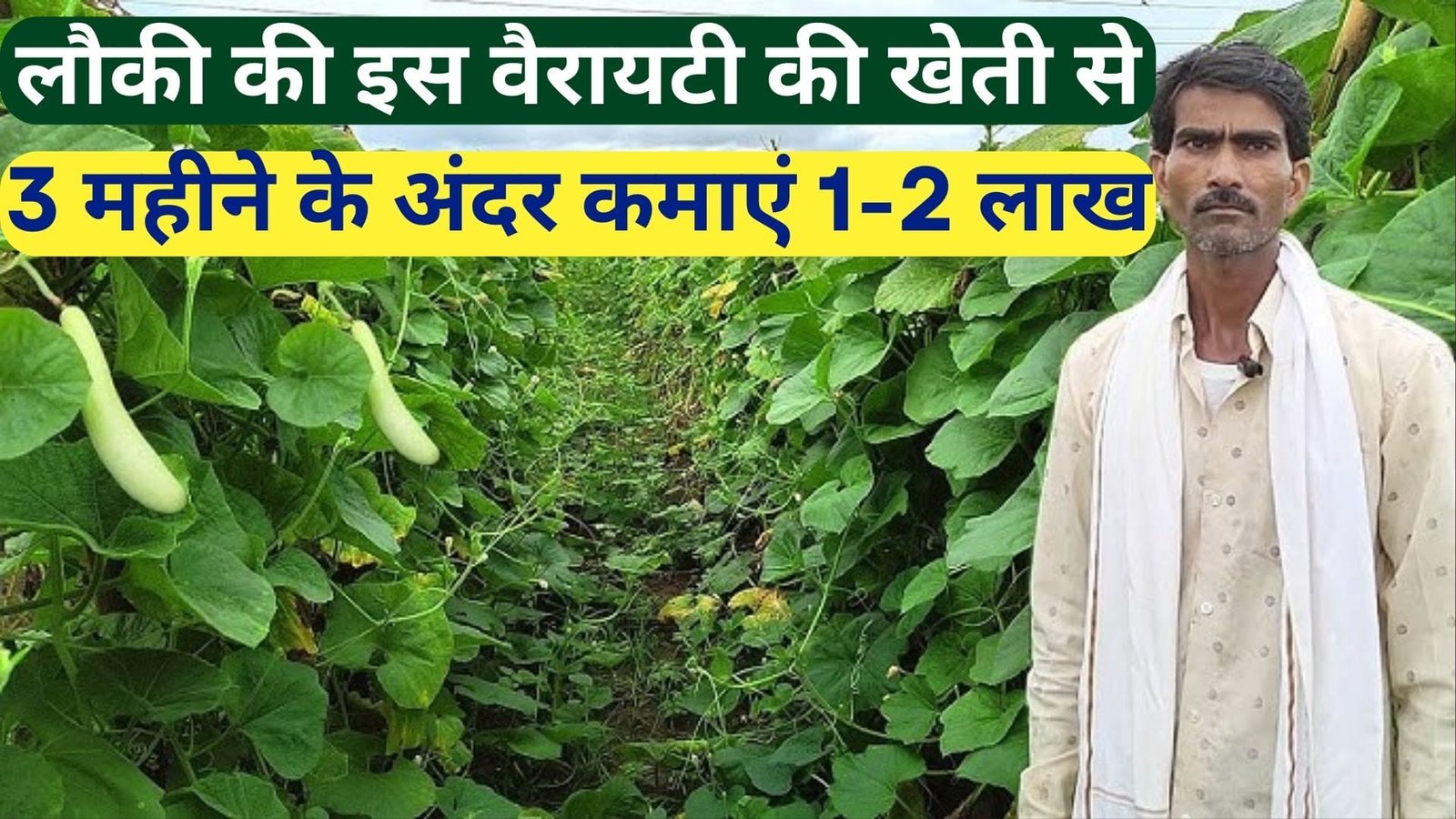 लौकी की इस वैरायटी की खेती से 3 महीने के अंदर कमाएं 1-2 लाख, उच्च गुणवत्ता के लिए मार्केट में खूब प्रसिद्ध हाथों हाथ होती है बिक्री, जाने नाम